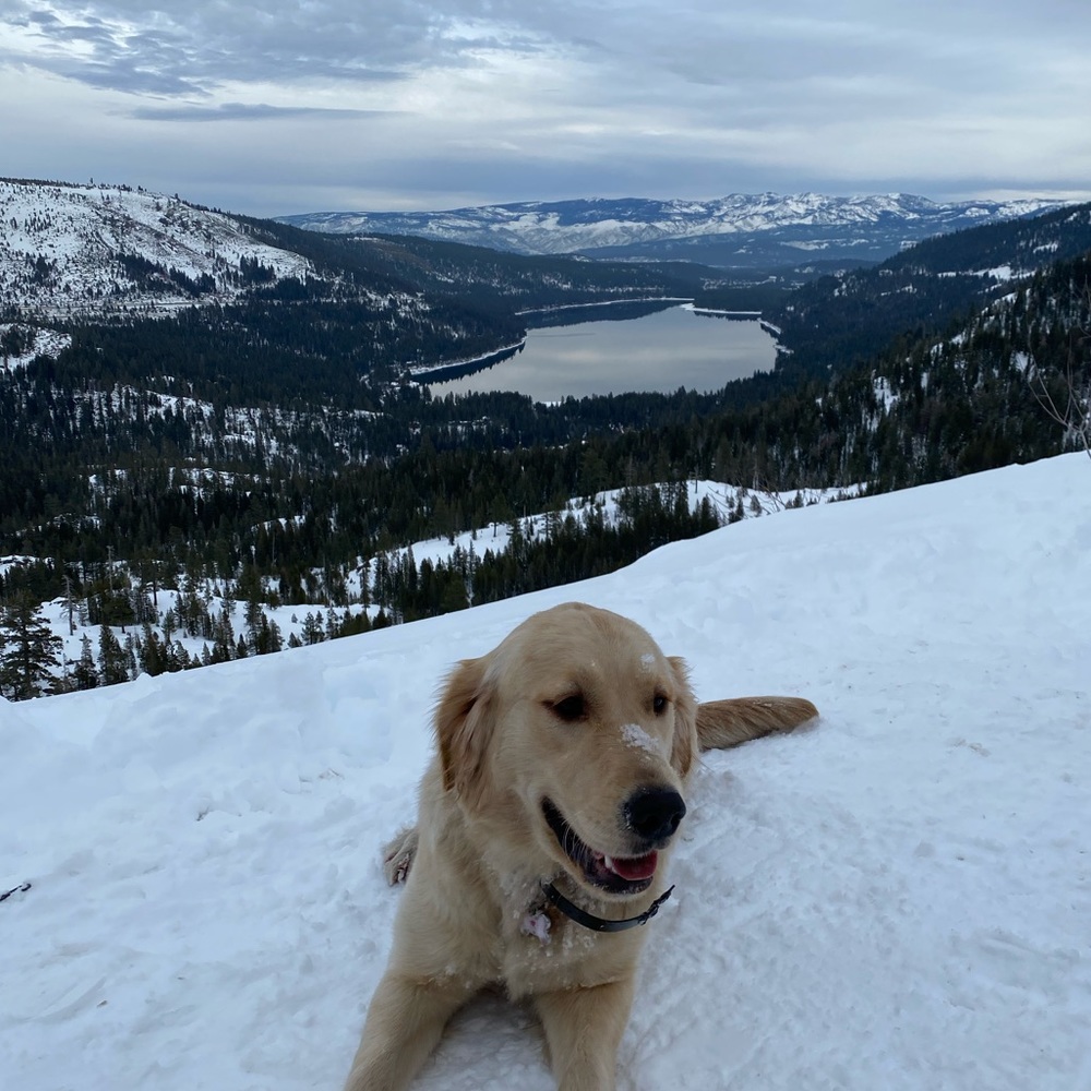 Meet your Posher, Alona